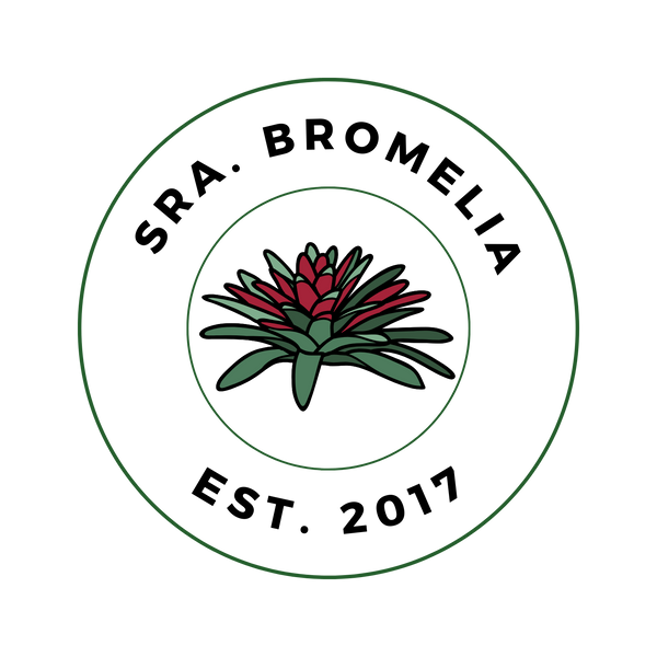 Sra Bromelia 